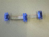 rimg3310_2.jpg