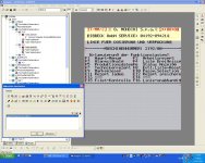 Designer6.JPG