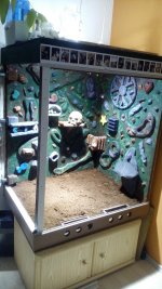 IMG_20161109_181713.jpg