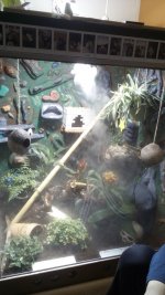 IMG_20161111_184322.jpg