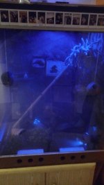 IMG_20161111_184800.jpg