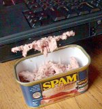 spam3445.jpg