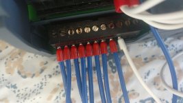 91431240_261490281539324_2317889731054010368_n.jpg