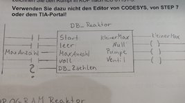 DSC_1333.JPG