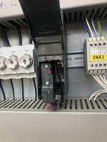 IMG_2980.jpeg