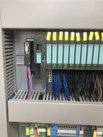 IMG_2981.jpeg
