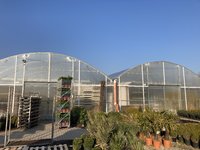 IMG_4032.jpg
