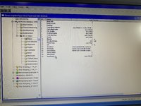 IMG_1484.jpeg