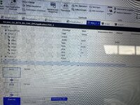 IMG_4825.jpeg