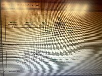IMG_0863.jpeg