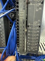 IMG_2665.jpeg