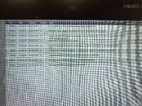 IMG_7281.jpeg
