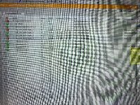 IMG_7284.jpeg