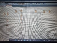 17114841493845859640469635684855.jpg