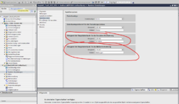 Runtime Einstellungen_Bild 2.png