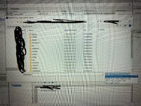 IMG_9487.jpeg
