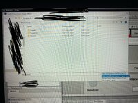 IMG_9486.jpeg