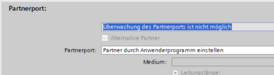 Partnerport.png