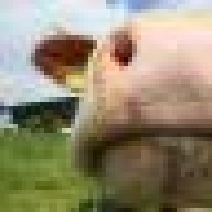 voni_1