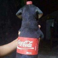 oliversps