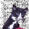 BlackMizi