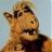Gordon S